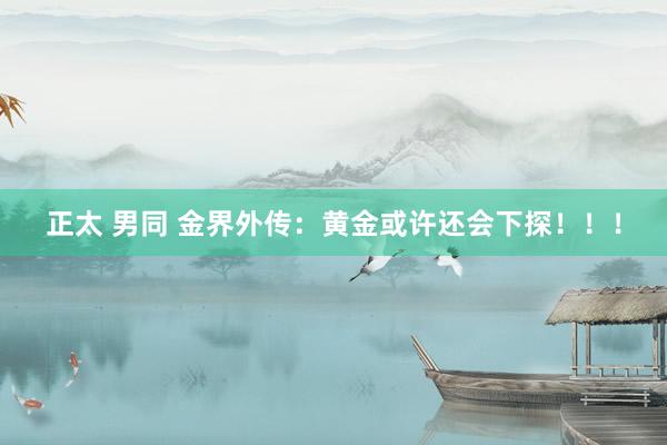 正太 男同 金界外传：黄金或许还会下探！！！