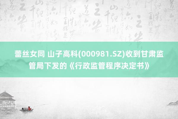 蕾丝女同 山子高科(000981.SZ)收到甘肃监管局下发的《行政监管程序决定书》