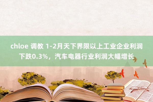 chloe 调教 1-2月天下界限以上工业企业利润下跌0.3%，汽车电器行业利润大幅增长
