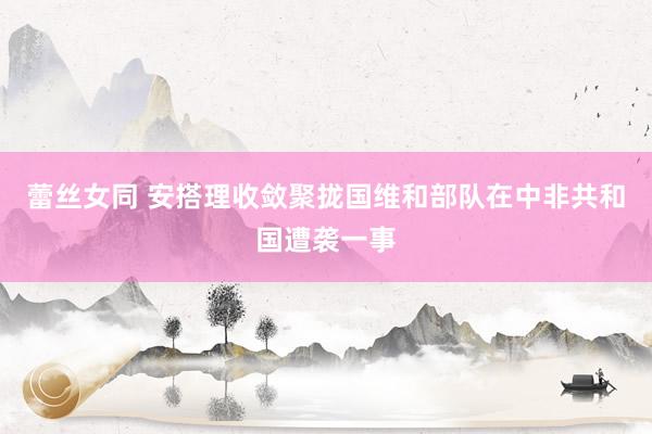 蕾丝女同 安搭理收敛聚拢国维和部队在中非共和国遭袭一事