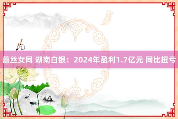 蕾丝女同 湖南白银：2024年盈利1.7亿元 同比扭亏