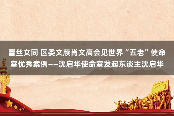 蕾丝女同 区委文牍肖文高会见世界“五老”使命室优秀案例——沈启华使命室发起东谈主沈启华